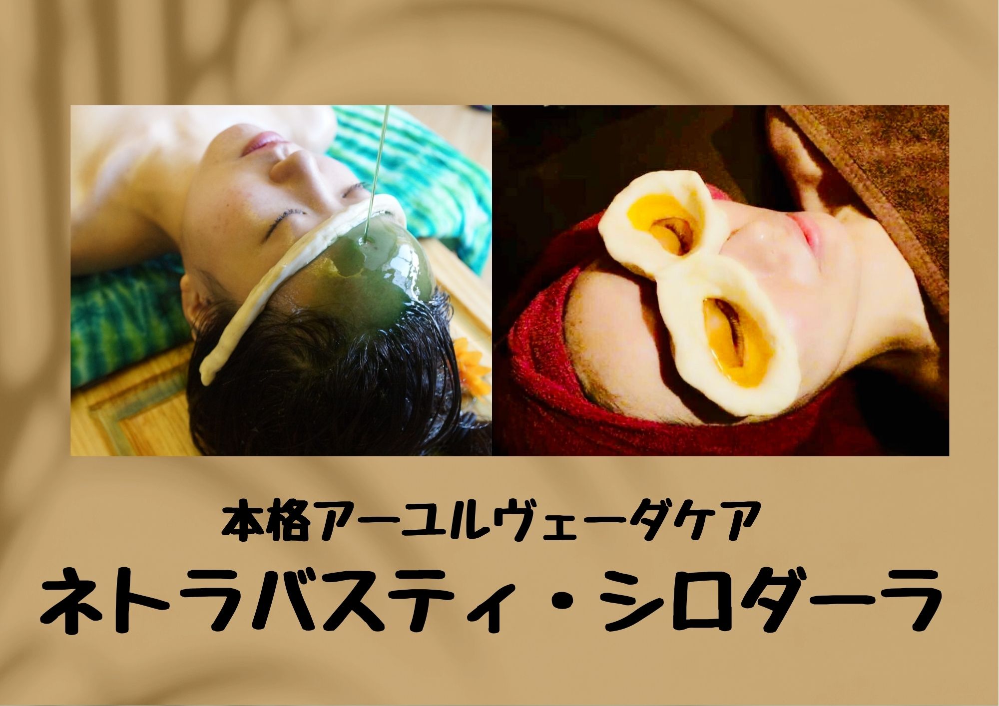 コース 料金 もみの気ハウス コース 料金 もみの気ハウス